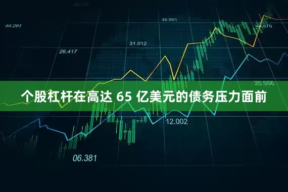 个股杠杆在高达 65 亿美元的债务压力面前