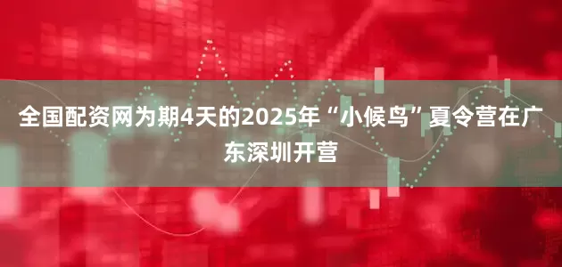 全国配资网为期4天的2025年“小候鸟”夏令营在广东深圳开营