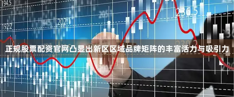 正规股票配资官网凸显出新区区域品牌矩阵的丰富活力与吸引力