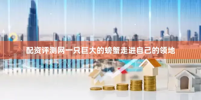 配资评测网一只巨大的螃蟹走进自己的领地