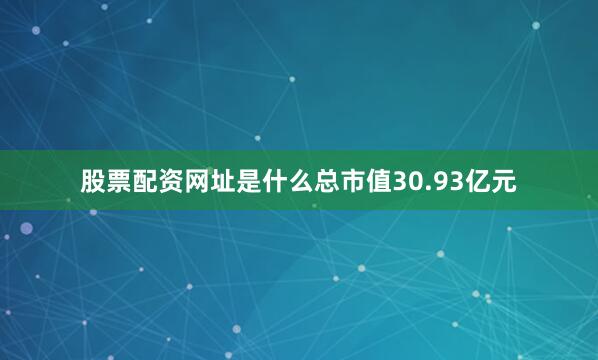 股票配资网址是什么总市值30.93亿元