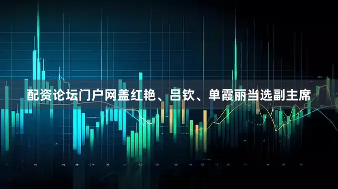 配资论坛门户网盖红艳、吕钦、单霞丽当选副主席