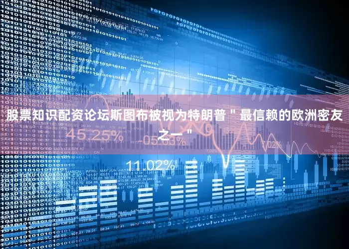 股票知识配资论坛斯图布被视为特朗普＂最信赖的欧洲密友之一＂